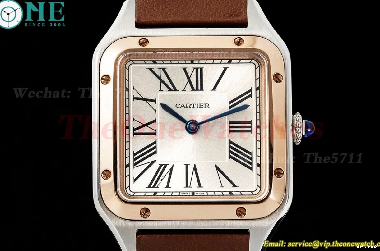 LE Santos Silver Quartz Brown Dial Dumont AF RG 0502